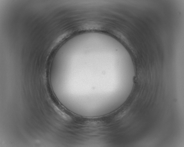 X0000062150629200512231533