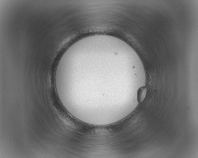 X0000062150636200512231533