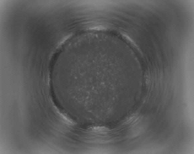 X0000062150637200512231533