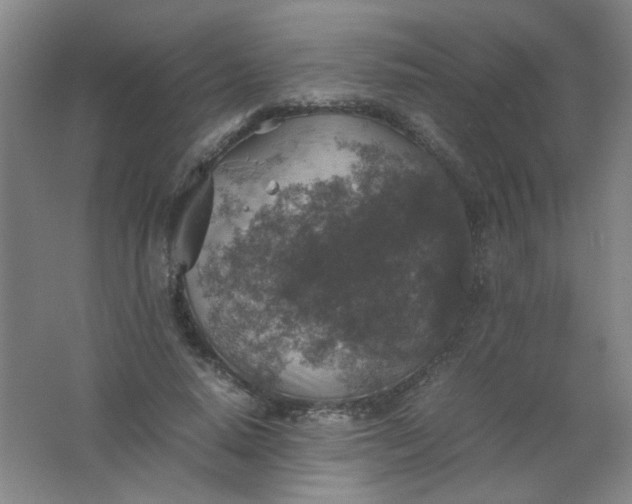 X0000062150640200512231533