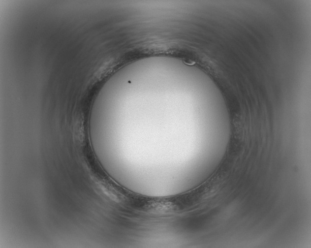 X0000062150642200512231533