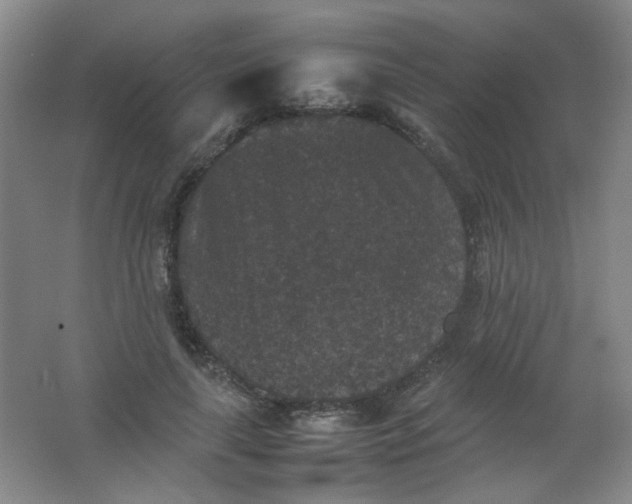 X0000062150643200512231533