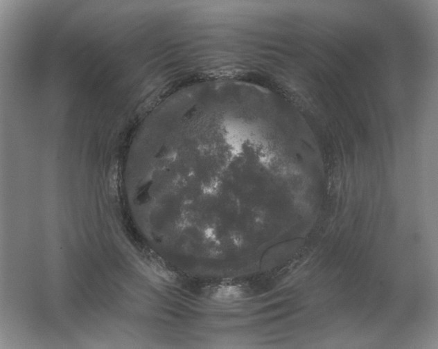X0000062150647200512231533