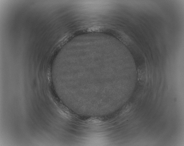 X0000062150648200512231533