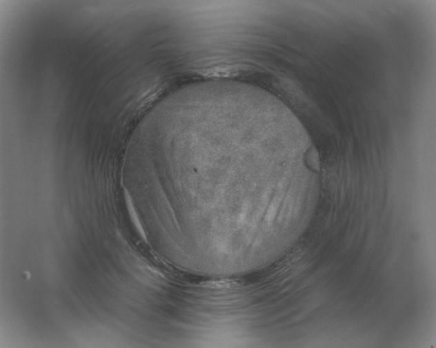 X0000062150652200512231533