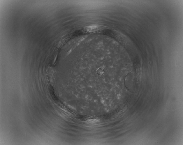 X0000062150653200512231533