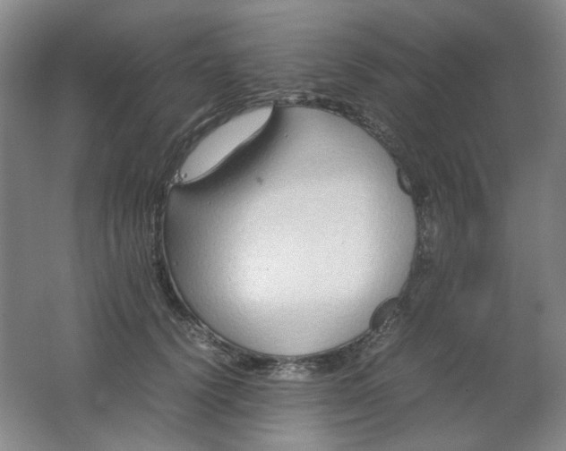 X0000062150656200512231533