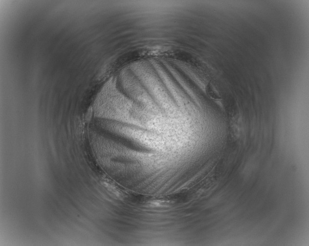 X0000062150657200512231534