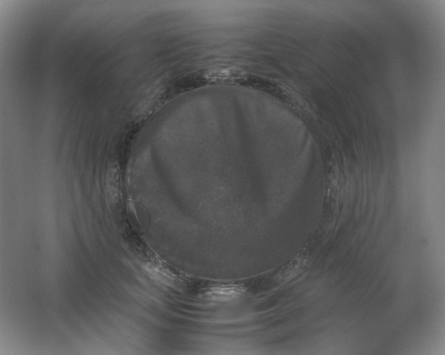 X0000062150659200512231534