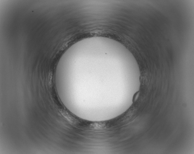 X0000062150660200512231534