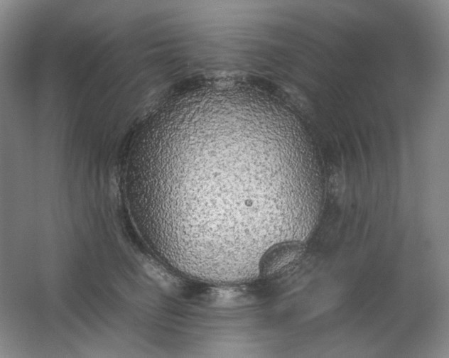 X0000062150662200512231534