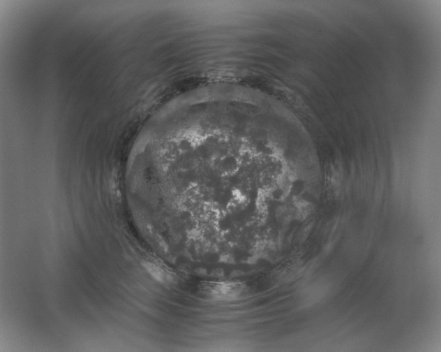 X0000062150663200512231534