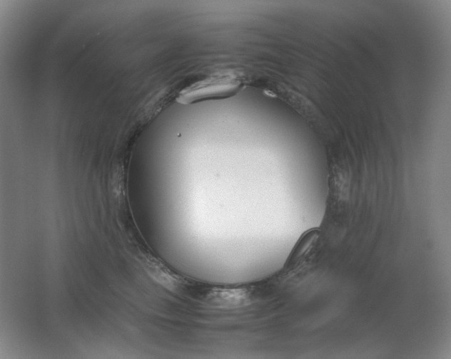 X0000062150665200512231534