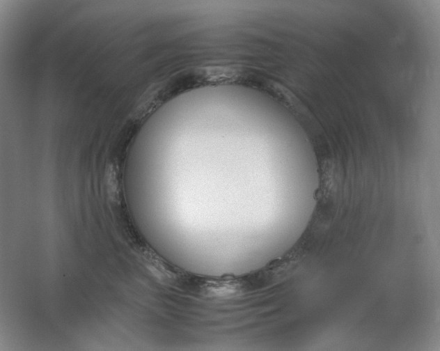 X0000062150667200512231534