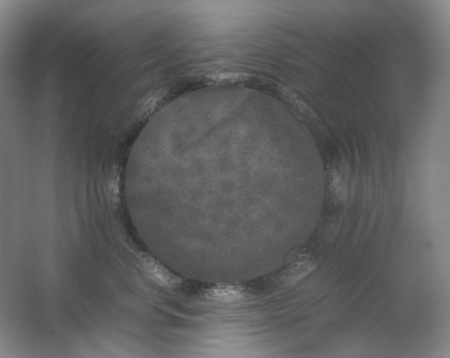 X0000062150668200512231534