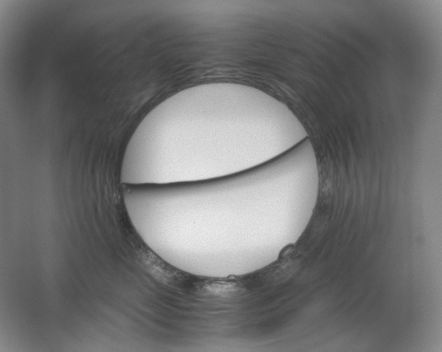 X0000062150669200512231534