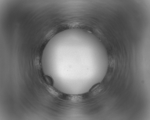 X0000062150670200512231534