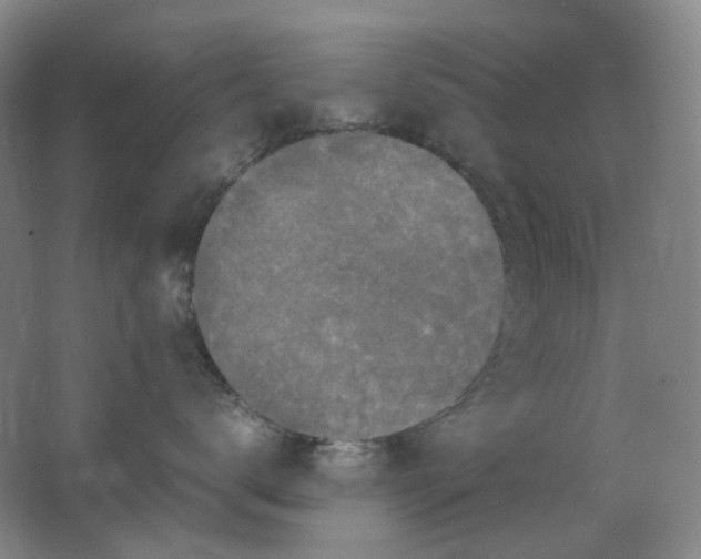 X0000062150672200512231534
