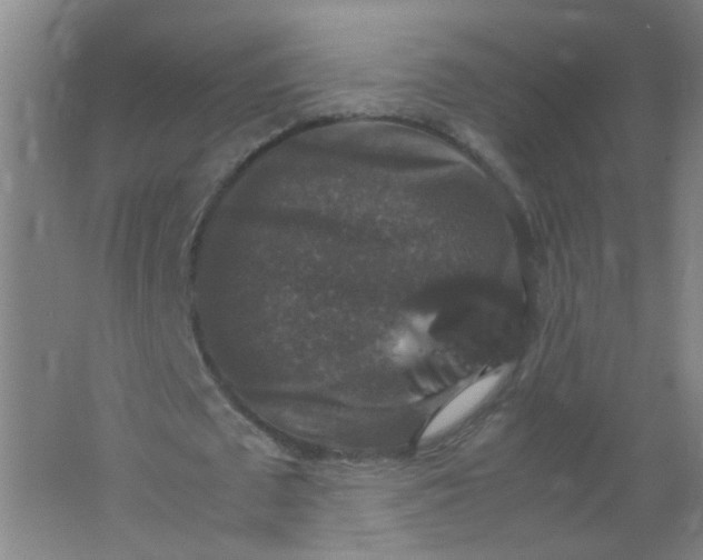 X0000062150673200512231533