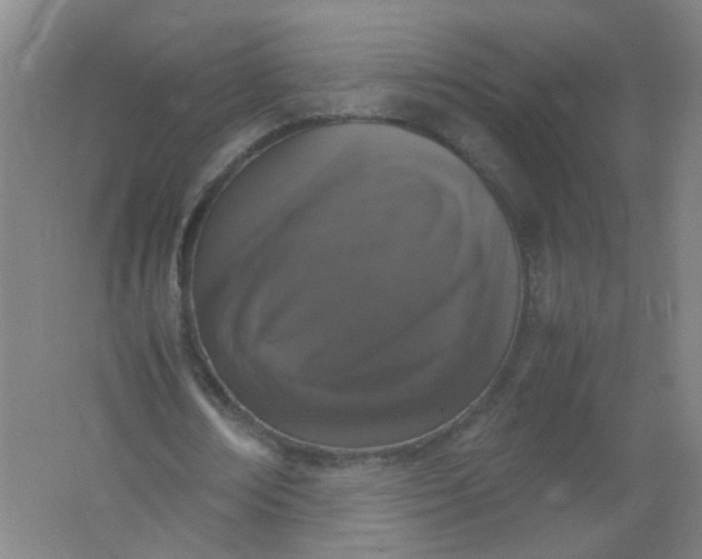 X0000062150674200512231533