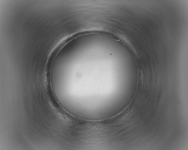 X0000062150676200512231533