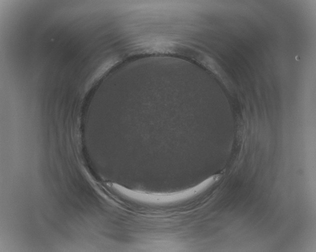 X0000062150677200512231533