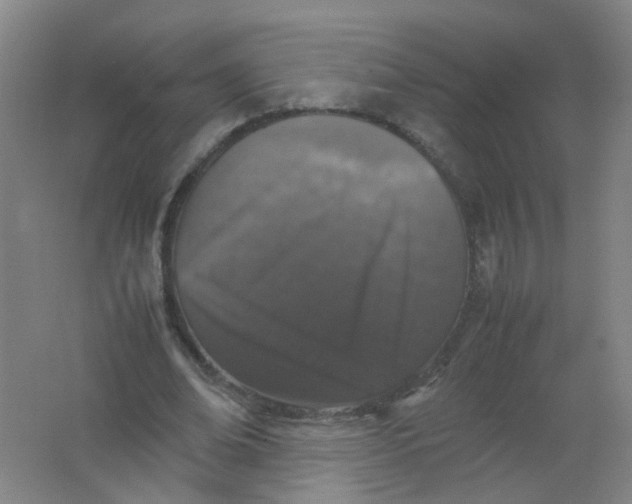 X0000062150678200512231533