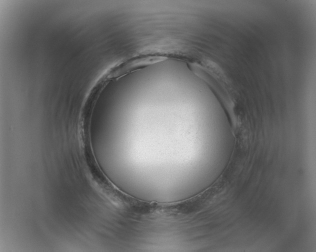 X0000062150680200512231533