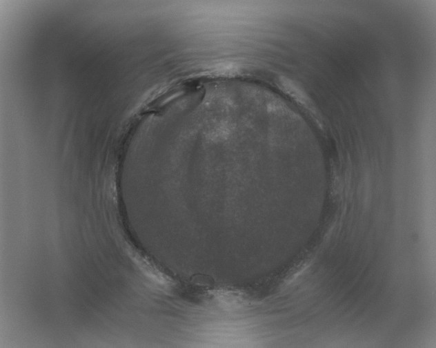 X0000062150681200512231533