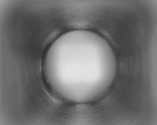 X0000062150686200512231533