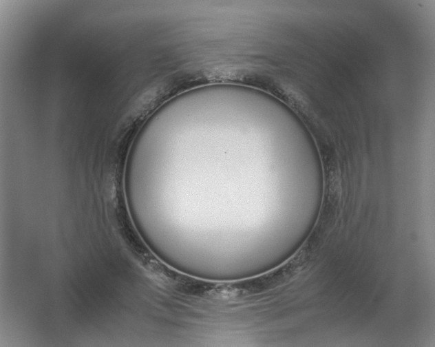X0000062150687200512231533
