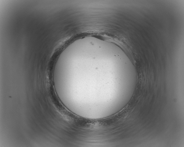 X0000062150688200512231533