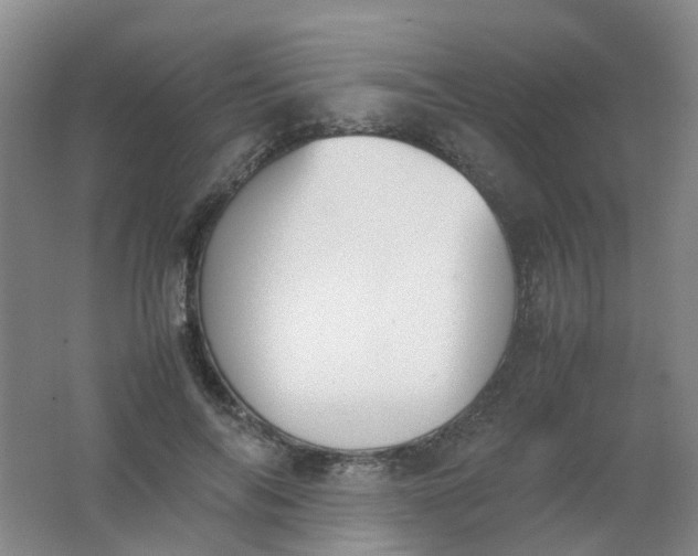 X0000062150694200512231533
