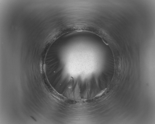 X0000062150696200512231533