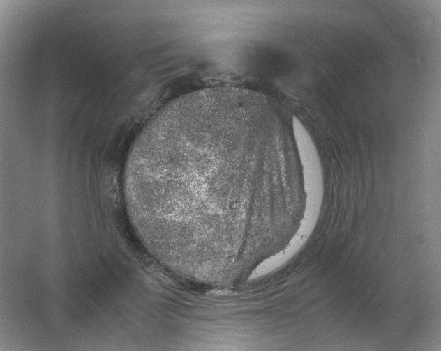 X0000062150699200512231532