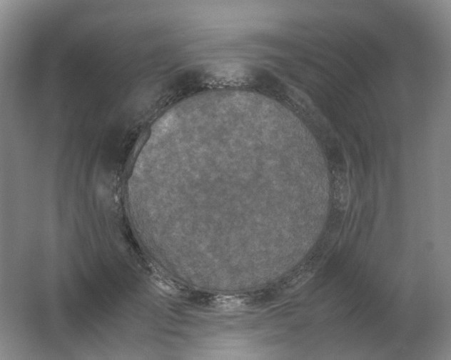 X0000062150701200512231532