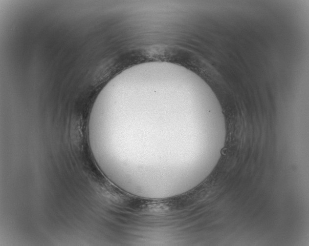 X0000062150702200512231532