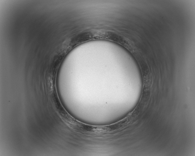 X0000062150703200512231532