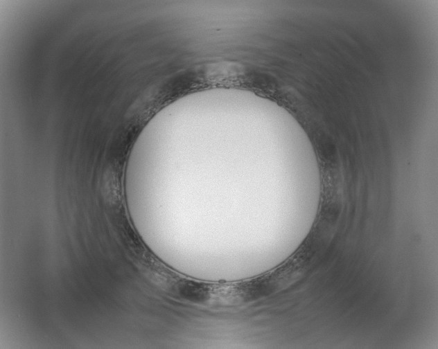 X0000062150705200512231532