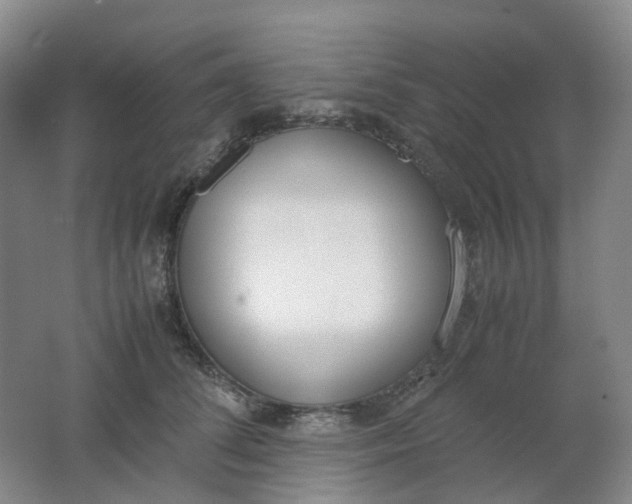 X0000062150708200512231532