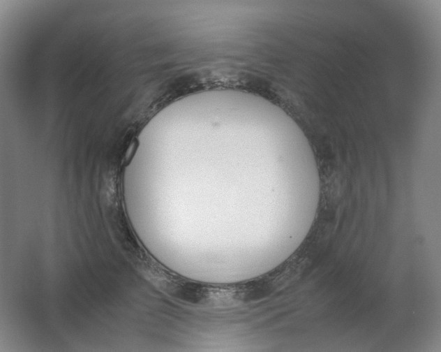 X0000062150709200512231532