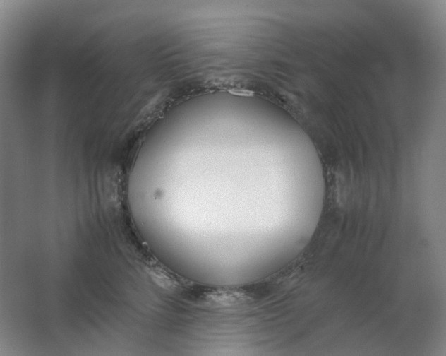 X0000062150712200512231532