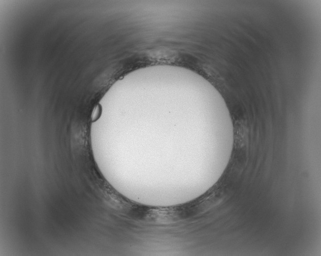 X0000062150713200512231532