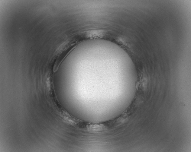 X0000062150716200512231532