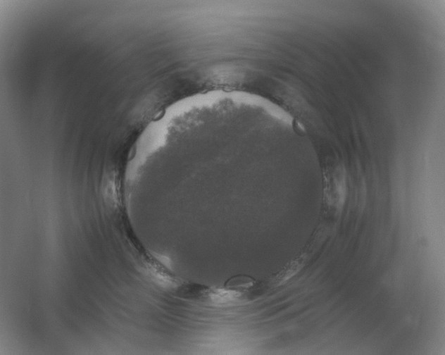 X0000062150718200512231532