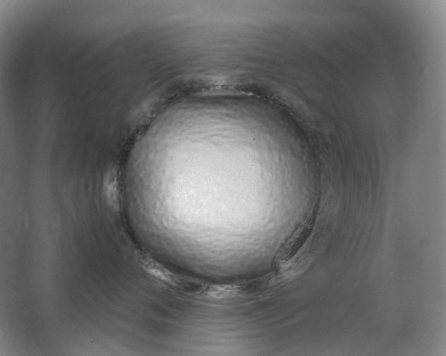 X0000062150720200512231532