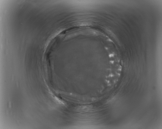 X0000062150721200512231531