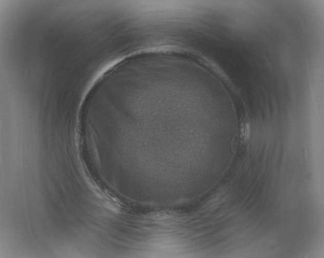 X0000062150724200512231531