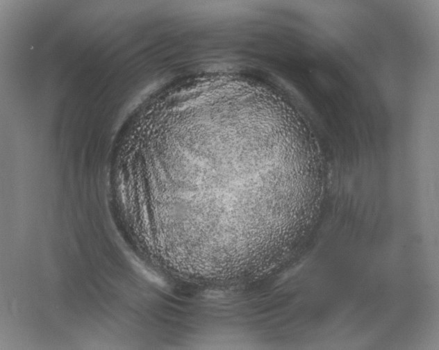 X0000062150725200512231531