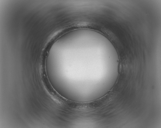 X0000062150728200512231531